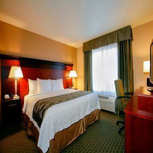 Hotel Fairfield & Detroit 3*